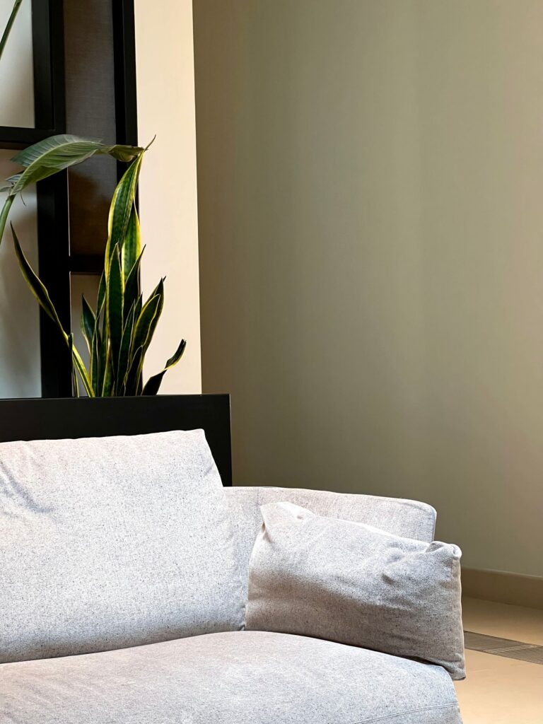 Coin cosy avec canapé et plante verte près d'une fenêtre